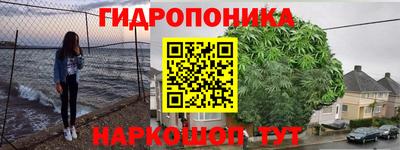 твердый Будённовск