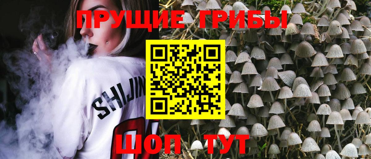 Псилоцибиновые грибы Cubensis  Псилоцибиновые грибы Psilocybe  Коряжма  Вход с VPN 
