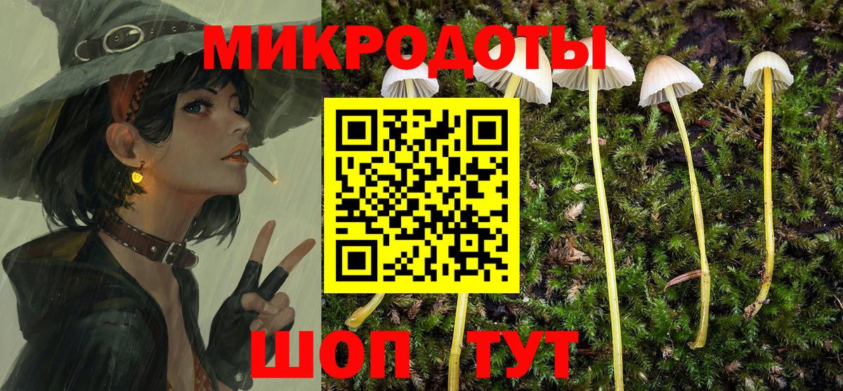 Галлюциногенные грибы GOLDEN TEACHER Коряжма